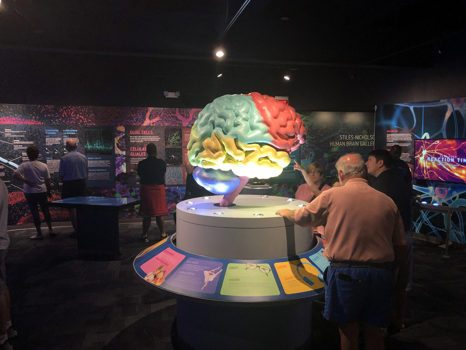 South Florida Science Center - Journey Though the Human Brain