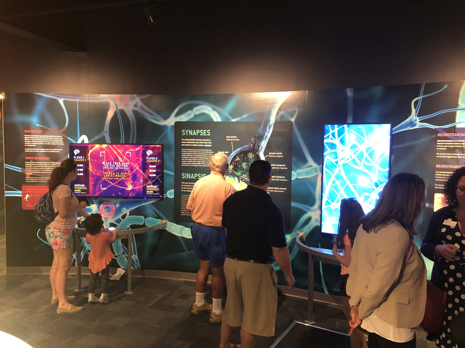 South Florida Science Center Journey Through the Human Brain