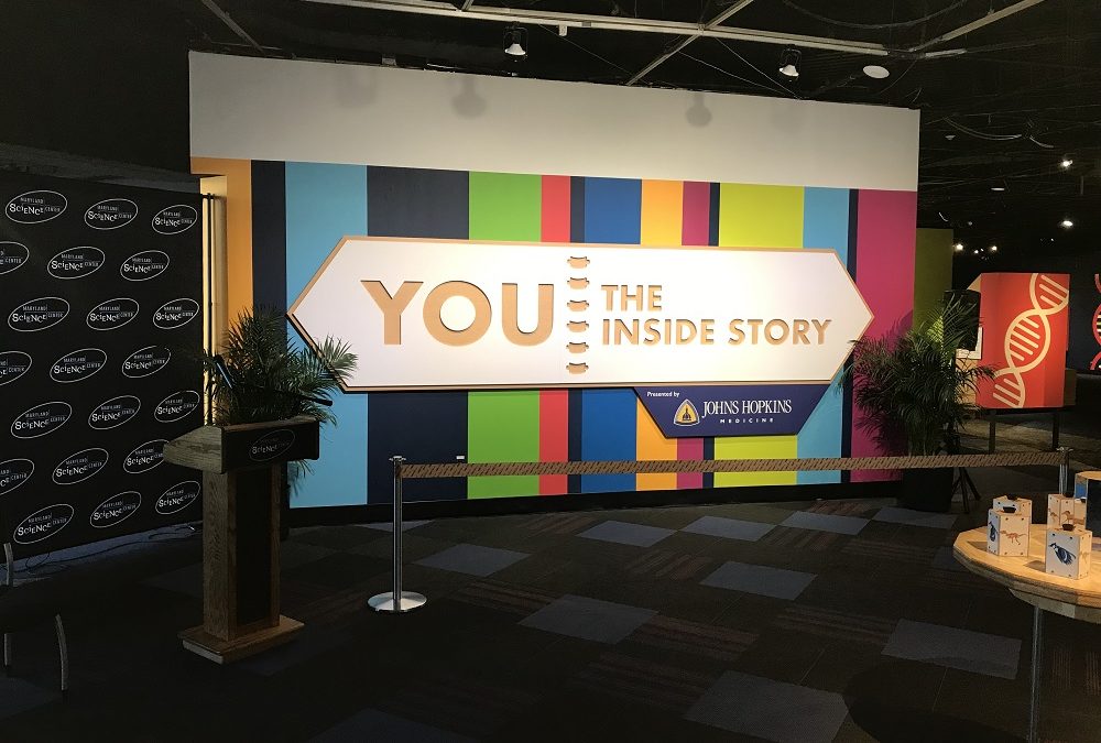 “You – The Inside Story” – A Fun New Exhibit for the Maryland Science Center